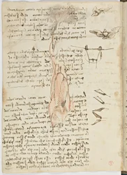 Code de vol des oiseaux, c. 1505-06, manuscrit sur papier, cc. 18, feuille 17 verso